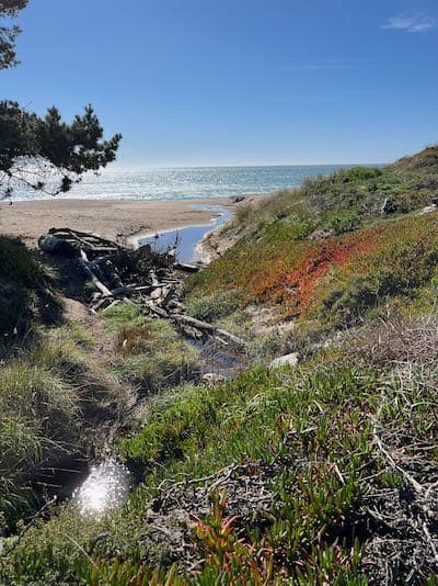 Coastline